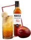 MAYER- PREMIUM MANGO SYRUP